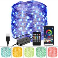 Usb ไฟสาย Led Rgb บลูทูธควบคุมพวงไฟเทพนิยายโคมไฟคริสต์มาสสำหรับรีโมทการตกแต่งงานเลี้ยงฉลองแต่งงาน2ม. 10ม.