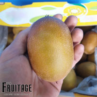 กีวี่ทอง KIWI SunGold (ยกลัง) (CHN) ~ลดพิเศษ~ Premium หวานเจี๊ยบ กีวีทอง กีวีสีทอง นิวซีแลนด์ กีวี่สด กีวี่สีทอง ผลไม้สดกีวี่ ขายส่ง ราคาส่ง