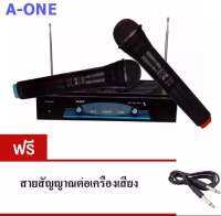 ไมโครโฟนไร้สาย ไมค์ลอยคู่ WIRELESS MICROPHONE รุ่น  RY-2002 ฟรีสายสัญญาณเสียง