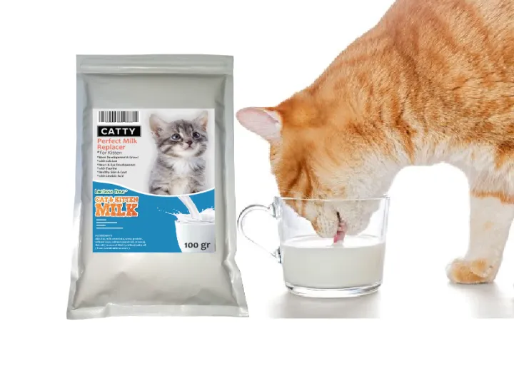 Apakah susu dancow baik untuk kucing