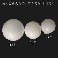 [COD] white size balloon 5 inch 10 12 36 round art shape