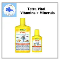 วิตามินน้ำ สำหรับปลา Tetra vital เต็ดตร้า ไวทัล Vitamins + Minerals