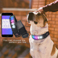 Usb Charging Led Display Pet Collar App Control Luminous Dog Collars Avoid Car Accident At Night Safety Flashing Collar Perro