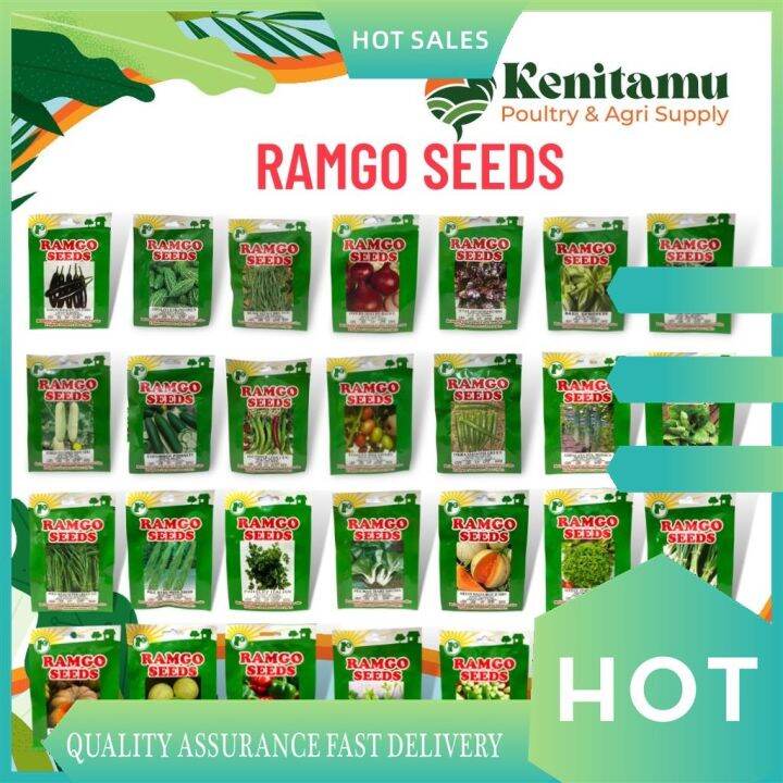 RAMGO SEEDS (PACKET) | Lazada PH