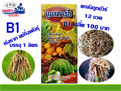 ขายยกลัง 12 ขวด บูมสตาร์ท 1ลิตร สูตรพรีเมี่ยม น้ำยาเร่งราก บี1+อมิโนแอซิด สร้างภูมิต้านทาน เร่งราก ป้องกันกำจัดโรคพืช ผสมยาอื่นได้