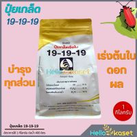 ปุ๋ยเกล็ด 19-19-19 เรือใบไข่มุก 1 กก. สูตรเร่งต้นใบ-ดอก-ผล บำรุงทุกส่วน