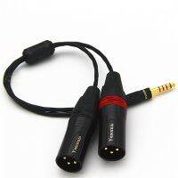 HiFi 4.4mm Balance to 2 XLR 3 Pin 3P Male to Male Audio Adapter Cable for pha2a wm1a 1z zx300a