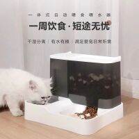 ❣☁ Visual pet automatic drinking feeder two-in-one large-capacity one-piece cat bowl unplugged anti-overturn