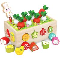 Hot Educational Fruit Shape Sorter Puzzle Harvest Game Baby Carrot Wooden Carrot Sorting Toy With Rabbit