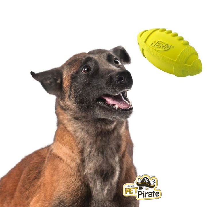 nerf-dog-ของเล่นหมา-ลูกอเมริกันฟุตบอลยาง-บีบกัดมีเสียง-ของเล่นสุนัข-แบรนด์ดังจาก-usa-สำหรับหมาไซซ์กลาง-ไซซ์ใหญ่-ลูกบอลยาง-ขนาด-7-นิ้ว-บริการเก็บเงินปลายทาง-สำหรับคุณ