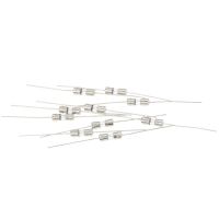 10PCS Slow Blow 3.6x10 Glass Tube Fuse 250V 0.5A 1A 1.5A 2A 3A 3.15A 4A 5A 6.3A 8A 10A 15A With Pin 3.6x10mm