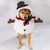 Christmas Pet Dog Clothes Cosplay Snowman Dog Costumes Small Large Dog Coat Jacket Pet French Bulldog Festival Party Clothing