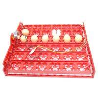 36 Eggs /144 Birds Eggs Incubator Tray Chickens 1/240 rpm Or 2.5 r/min Ducks And Pigeons And Other Birds Parrot Quail Gooes