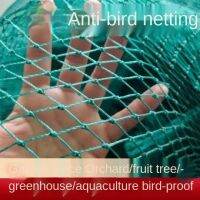 The net of nylon wire in the shed and the bird net for chicken breeding trellis netting bird net  fruit tree net  chicken coop Gardening Tools