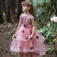 Princess Party Dress for Girls Wedding Lace Flower Girl Dress Kids Birthday New Years Clothes 3 4 5 6 7 8 9 10 11 12 Years