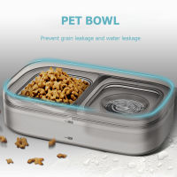 Non Slip Cat Bowl Double Automatic Feeder Fountain with Filter for