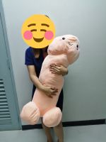 ?พร้อมส่ง? หมอนกะจู๋ หมอนข้างจู๋ ตุ๊กตากะจู๋ ขนาดใหญ่ 80cm.