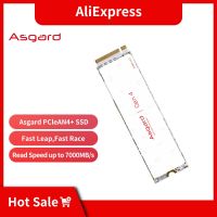 Asgard SSD M.2 NVME PCIe AN4 + 512GB 1TB 2TB โซลิดสเตทไดรฟ์2280ฮาร์ดดิสก์ภายในสำหรับแล็ปท็อปแคช Igdxch