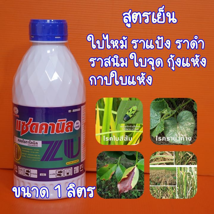 ยกลัง-12-ขวด-คลอโรทาโลนิล-1ลิตร-แซดดานิล-ดาโคนิล-ป้องกันโรคผลเน่าในทุเรียน-ราสนิม-ราน้ำค้าง-โรคดอกจุดสนิมกล้วยไม้-ใบจุด-ราดำ-ตากบ-ไส้ดำ