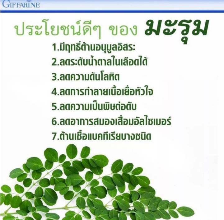 มะรุม-ซี-กิฟฟารีน-มะรุมผสมวิตามินซี-แคปซูล-ตรา-กิฟฟารีน-moringa-with-vitamin-c-capsule-dietary-supplement-giffarine-brand