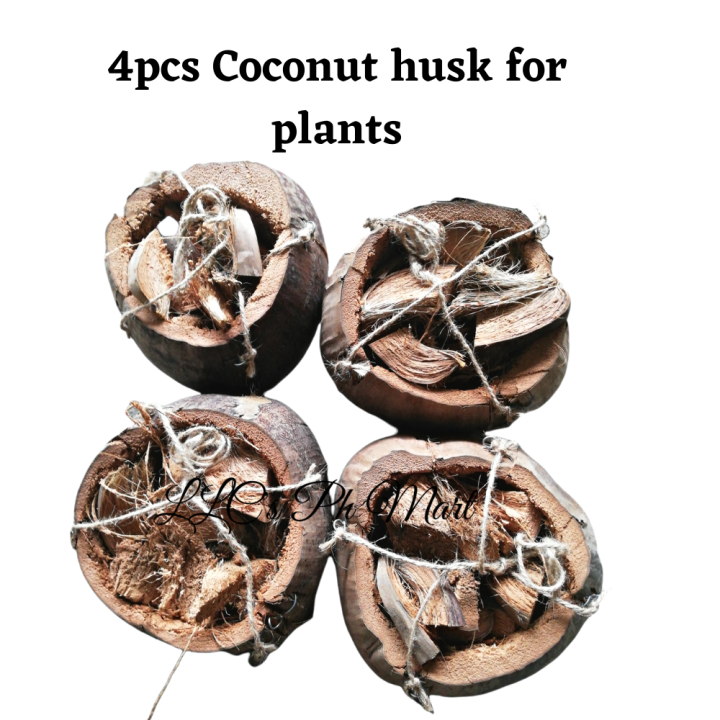 LLC's Coconut husk for plants 4pcs/hanging husk pot using abaca string
