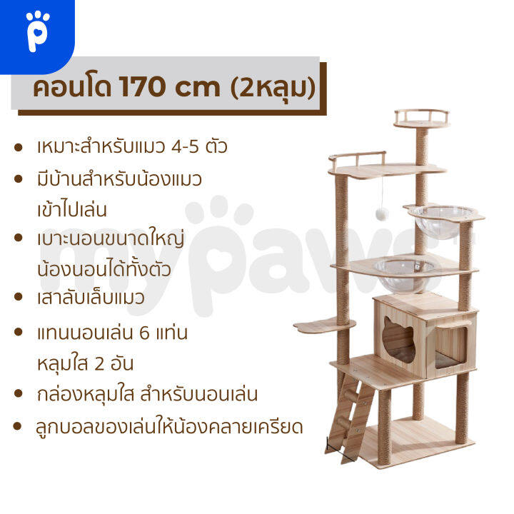 my-paws-คอนโดแมว-2-หลุม-แบบไม้-สูง-165-cm-และ-135-cm-พร้อมโดมนอนแบบใสและบันได-เสาลับเล็บทั้งต้น
