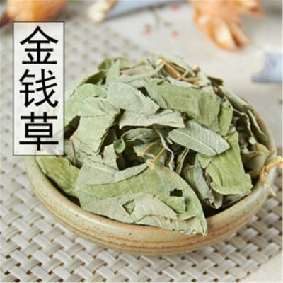 100% Natural Herbal Lysimachia Christinae Hance In Bulk Jinqiancao Health Care