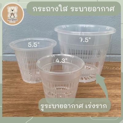 กระถางใสระบายอากาศ 3 ขนาด 4.3 , 5.5 และ 7.5 นิ้ว กระถางต้นไม้ กระถางเร่งราก กระถางใส กระถางต้นไม้พลาสติก