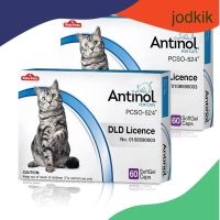 Antinol Cat (Exp.01/2024) แอนทินอล อาหารเสริม บำรุงข้อ ช่วยลดการระคายเคืองที่ผิวหนัง สารสกัดจากธรรมชาติ 60 เม็ด