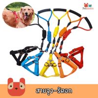 DOG สายรัดอกสุนัข Petaholic EVA รัดอก สายจูงสุนัข (CE395) สายจูงหมา สายจูงแมว EVA SOFT HARNESS