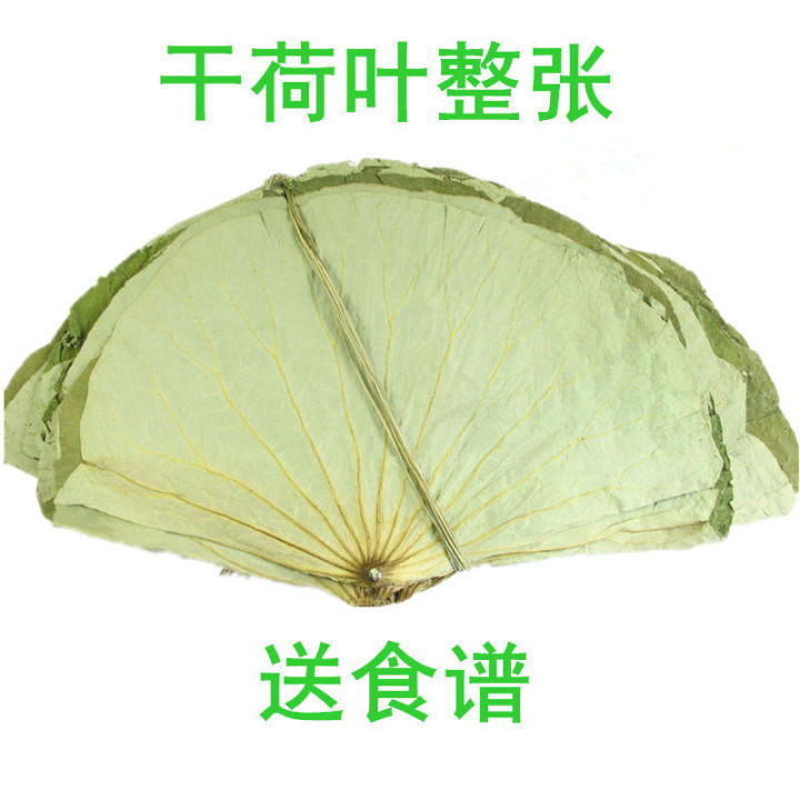 xbydzsw-zongzi-lotus-leaf-whole-lotus-leaf