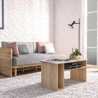 Inhome Furniture โต๊ะกลาง,วางกาแฟ,รับแขก ไม้ W80xD40xH42 รุ่น CT-8040