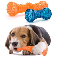 Dog Toothbrush Bone Sturdy Dog Toy Interactive Puppy Game Toy Dog Bone Rubber Resistant Bite Resistant Pet Toy Puppy Chew Toy Toys