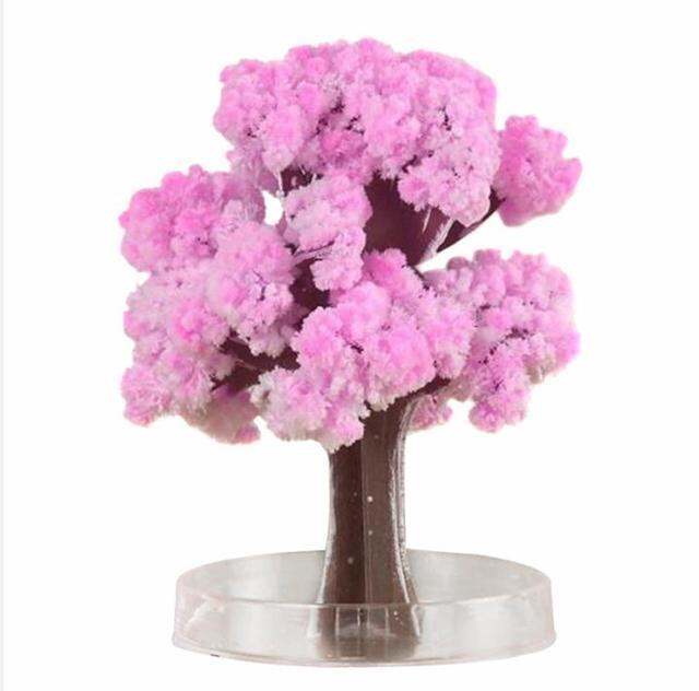 2020-9x8cm-coolthumbsupmagic-japanese-sakura-tree-brand-new-made-in-japan-pink-magic-decorative-toy-growing-paper-trees-toys