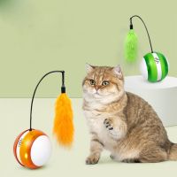【WNING small pet】ของเล่นแมวอิเล็กทรอนิคส์อัจฉริยะ,แบบโต้ตอบอัตโนมัติหมุนได้ลูกแมวลูกบอลสัตว์เลี้ยงของเล่นสำหรับแมวลูกบอลสำหรับเล่นไล่จับขนนก