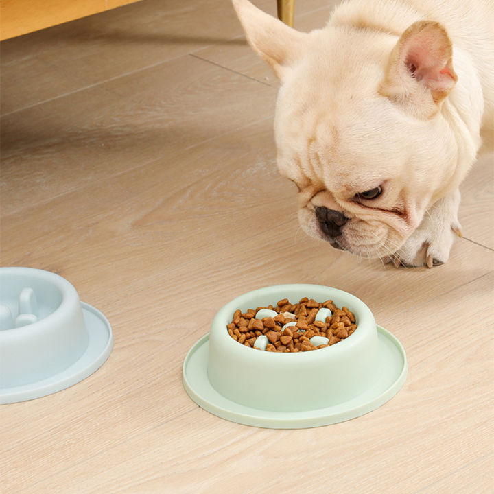 slow-eating-dog-bowl-dog-feeding-accessories-anti-choking-dog-bowl-slow-feed-dog-bowl-small-dog-feeder