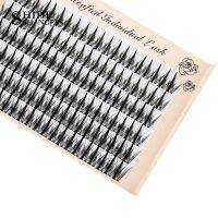 246 Bundles Professional Makeup Individual Lashes Cluster Spikes Lash Wispy Premade Russian Natural Fluffy False Eyelashes