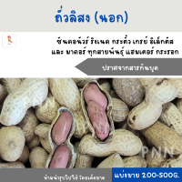 ถั่วลิสง (แบ่งขาย 200-500G.) สำหรับนกแก้วขนาดกลาง-ใหญ่ แฮมสเตอร์ กระรอก กระแต