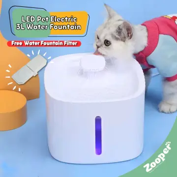 Electric on sale water bowl