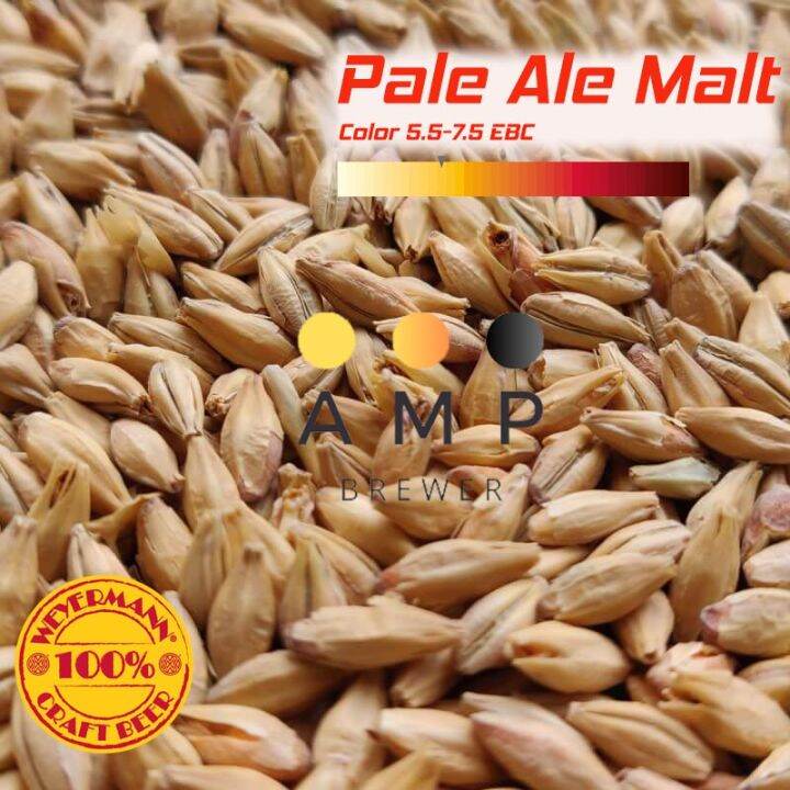 Pale ale Malt Lazada.co.th