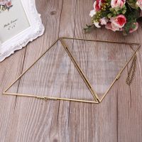 Triangle Floating Hanging Photo Frame Metal Glass Portrait Picture Plant Specimen Display Holder Home Decor