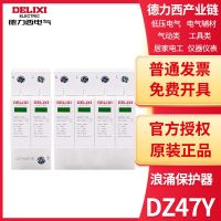 Delixi surge protector lightning protection secondary DZ47Y 1P/2P/3P/4P 20/40kA 275V/385V Relay