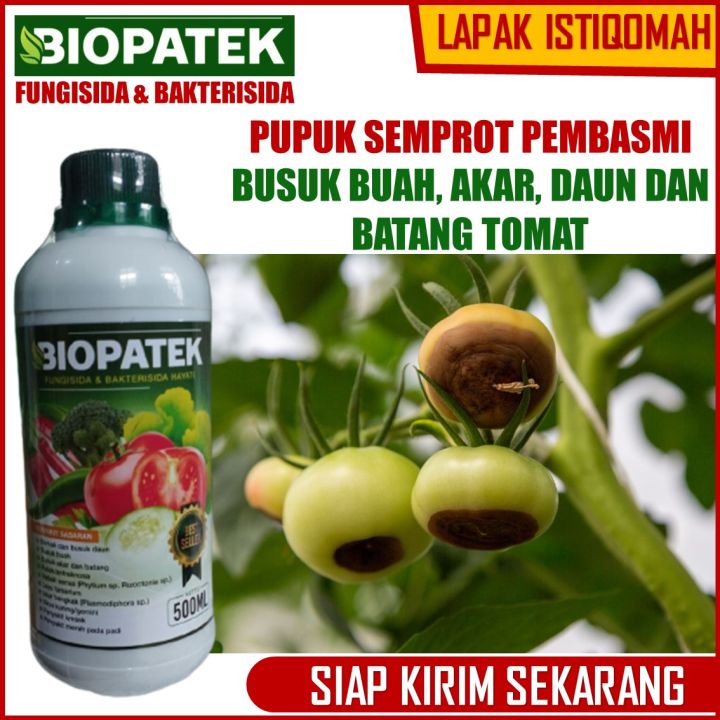 Promo Murah Obat Busuk Buah And Batang Tomat Biopatek Fungisida Dan