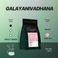 Varinda Coffee Roaster เมล็ดกาแฟคั่วอ่อน Specialty Single Origin | Galayanivadhana Chiangmai 200g เหมาะสำหรับชงด้วย Drip และ Pour-over