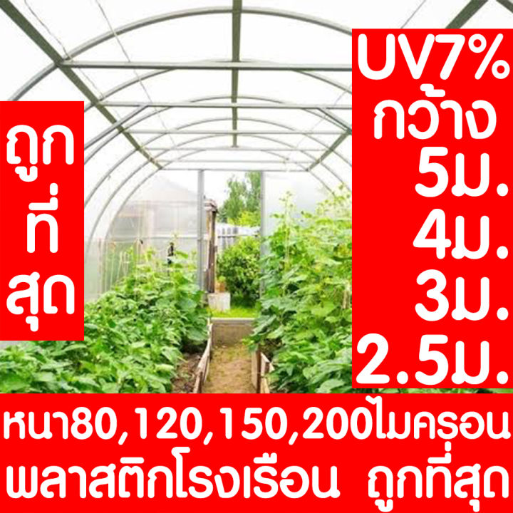 ค่าส่งถูก-พลาสติกโรงเรือน-หน้ากว้าง-2-5-3-3-6-4-5เมตร-หนา-80-100-120-150-200-ไมครอน-โรงเรือน-greenhouse-โรงเรือนเพาะชำ-พลาสติกคลุมโรงเรือน