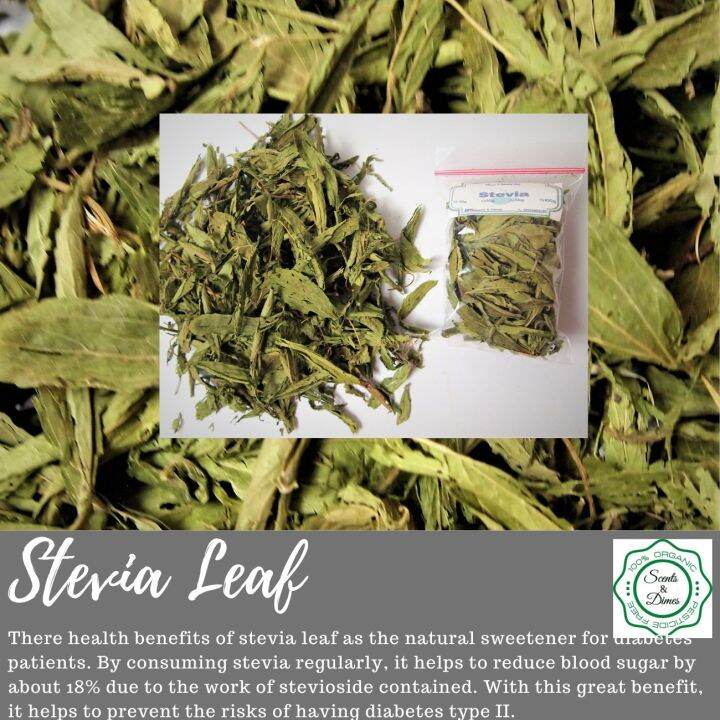 Dried Stevia leaves Tea (Cheapest) Lazada PH