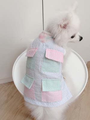Animal-Go-Round เสื้อผ้าเครื่องแต่งกาย สัตว์เลี้ยง, หมา, แมว, สุนัข รุ่น Pastel Pocket Boy