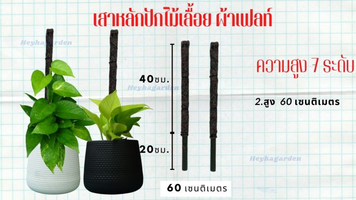 เสาหลักสำหรับปักต้นไม้เลื้อย-ไม้เกาะผ้าเฟลท์-flora-feltท่อ-pvcสีดำ-4หุน-1-2นิ้ว