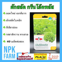 ผักซอง ศรแดง กรีนโอ๊คพลัส 40 เมล็ด/ซอง ตราศรแดง ผักกาดหอม ผักสลัด เมล็ดพันธุ์ ลอตใหม่ ใบหยิกสีเขียวอ่อน ทรงพุ่มสวย รสชาติหวานกรอบ