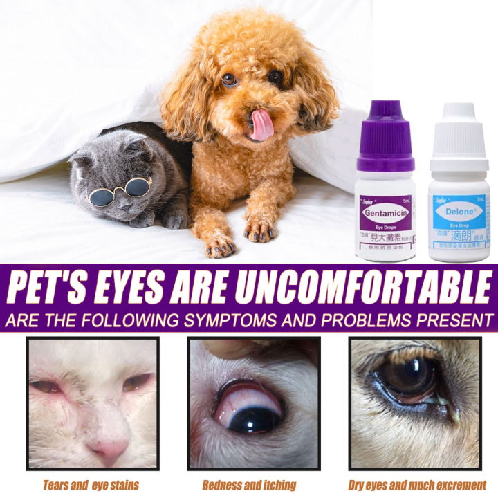 Gentamicin Eye Drops for Pet Cats and Dogs Eye Infection Opthalmic Anti